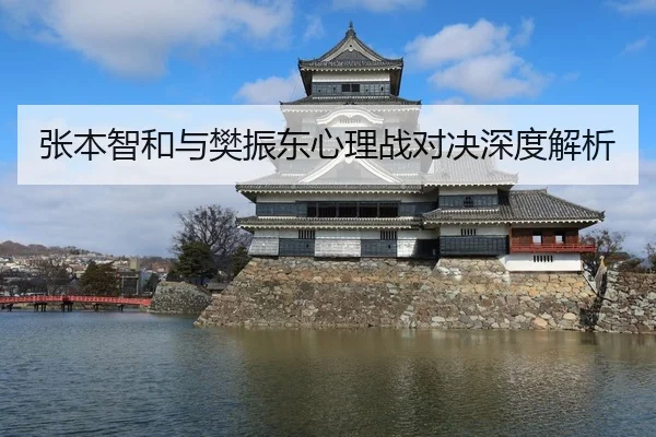 张本智和与樊振东心理战对决深度解析